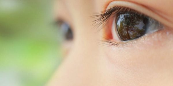 Close-up of child's eyes